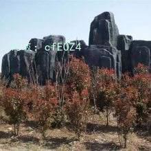 ع
