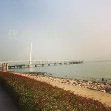 δ